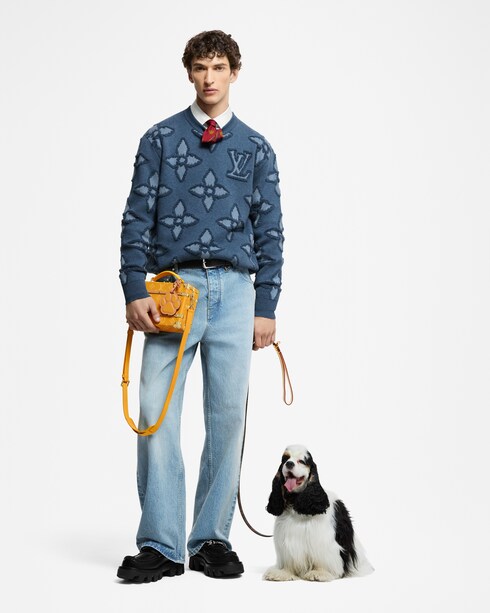 Handle Trunk Other Monogram Canvas in Trunks, Travel and Home's Trunks and Boxes Wearable Trunks collections by Louis Vuitton
