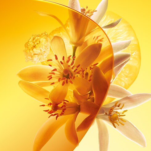 Perfumy Sun Song in Holiday Gifts's Holiday Gifts for Him } collections by Louis Vuitton (Powiększenie produktu)