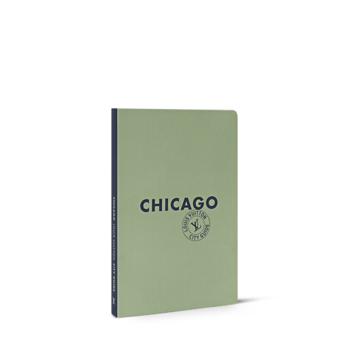 Widok Przewodnik po Chicago z boku