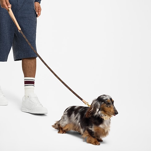 Smycz dla psa Dog Lead PM in Kufry, Podróże i Dom's Akcesoria dla zwierząt } collections by Louis Vuitton (Powiększenie produktu)