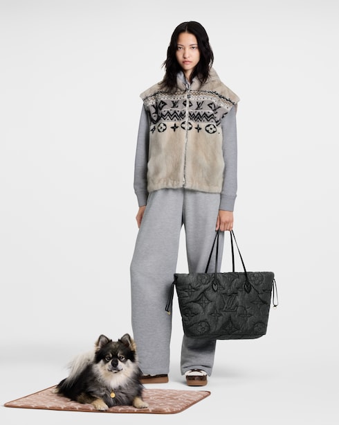Travel Dog Carpet S00 in Trunks, Travel and Home's Pets Accessories } collections by Louis Vuitton